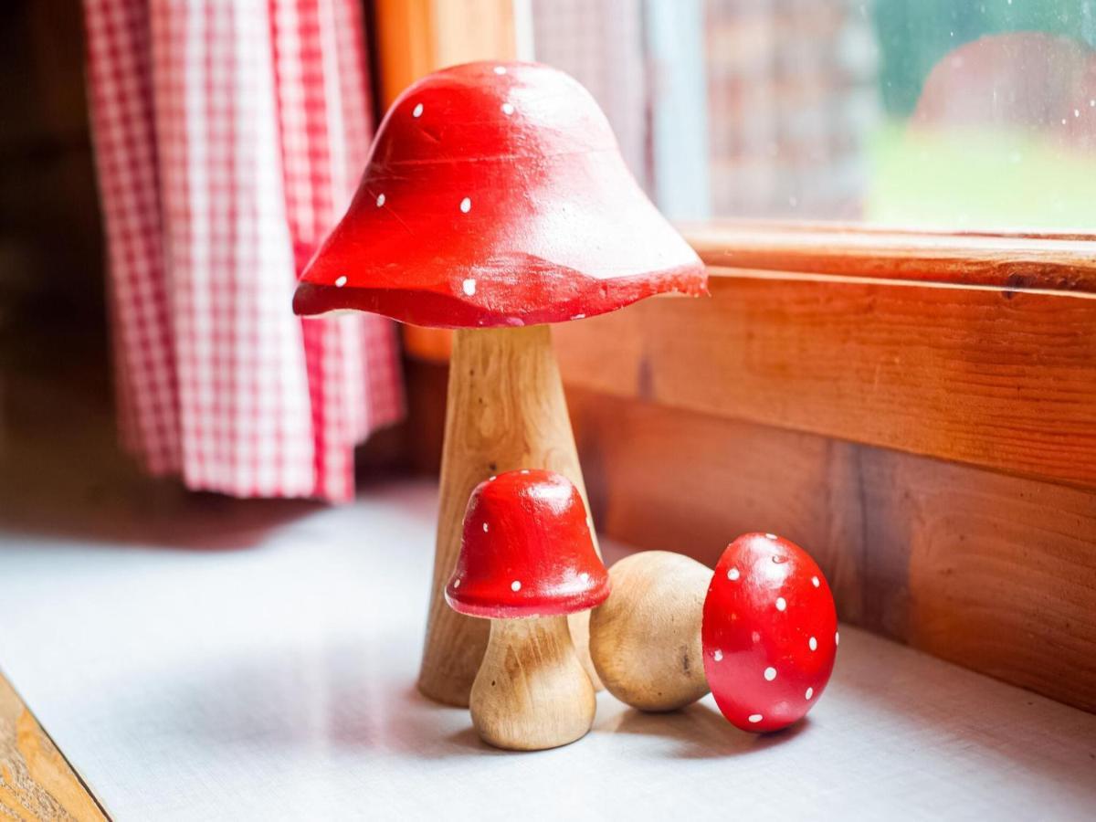 Vintage Holiday Home In Vorarlberg Near Ski Area 슈바르첸베르크 임 브레겐처발트 외부 사진
